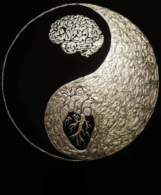 Ý nghĩa thâm thúy của hình tượng Âm - Dương (Yin & Yang)
